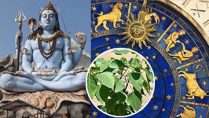 Hariyali Amavasya 2022: हरियाली अमावस्या पर राशि अनुसार जरूर लगाएं ये पौधे | Boldsky *Religious