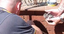 Santarcandelo di Romagna (RN) - Salvati cuccioli di gatto in un pozzo (27.07.22)