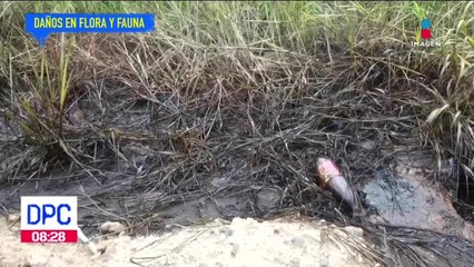 Reportan derrame de aceite por vandalismo en Las Choapas, Veracruz