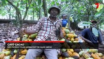 Café-cacao : des producteurs menacent d'entrer en grève