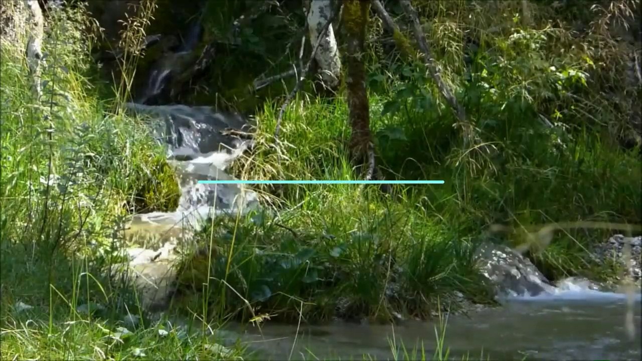 Relaxing Video Einschlafen Entspannen Wasserfall Vögel Natur Meditation