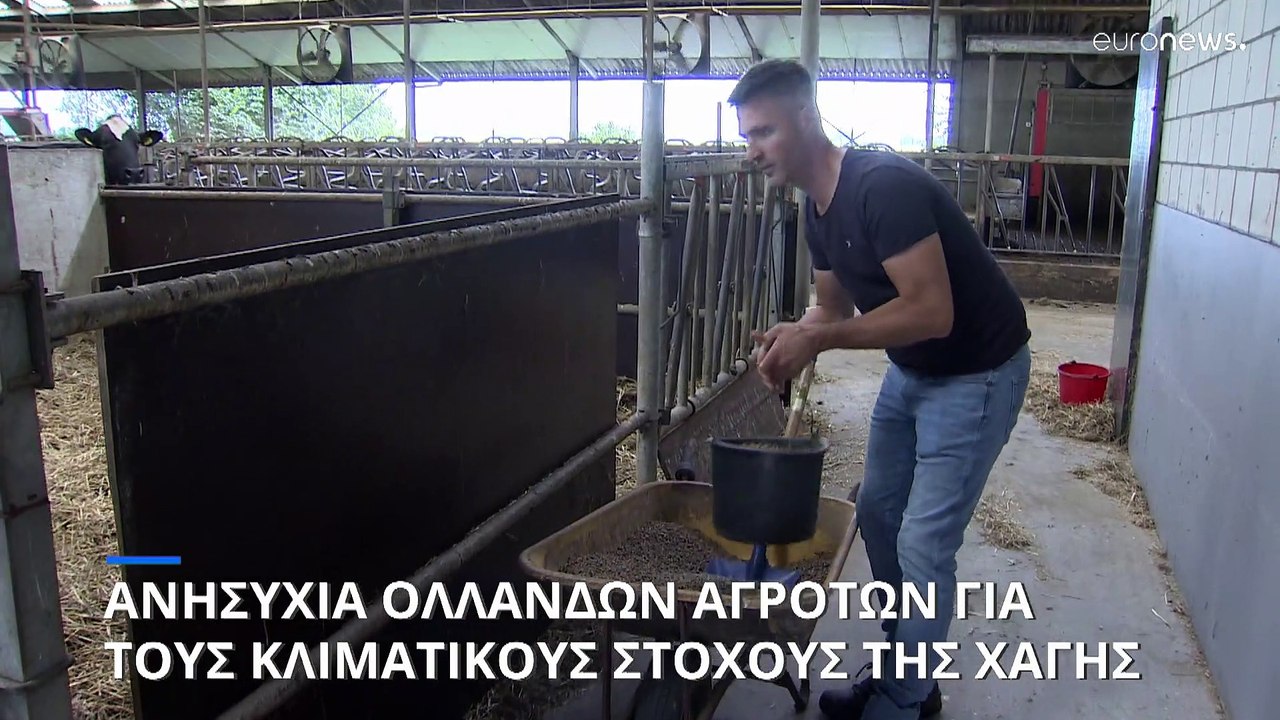 Σε απόγνωση οι αγρότες στην Ολλανδία λόγω των κλιματικών στόχων