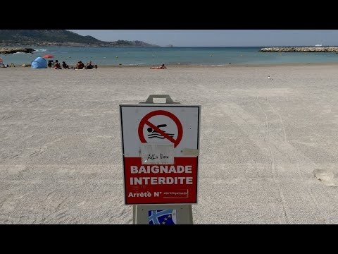 Baignade sur les plages du Prado : Les microbes marseillais sont très intelligents