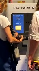 We Forgot We Left the Car Here Back in April