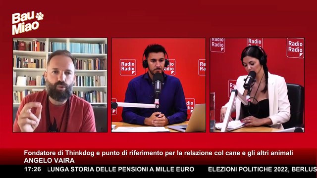 Migliorare la relazione uomo-cane: parola all'esperto ▷ Bau Miao