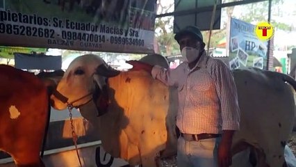 PRESIDENTE ELECTO DE LA ASOCIACIÓN DE GANADEROS DEL LITORAL Y GALÁPAGOS AÚN EN ESPERA DE POSESIONARSE