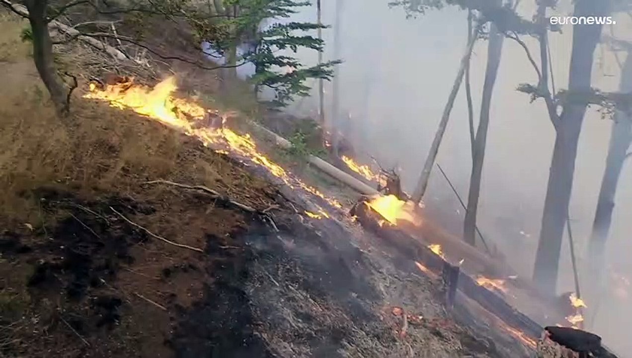 Tschechien: Feuer lodert auf 1000 Hektar