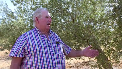 Seca extrema na Península Ibérica