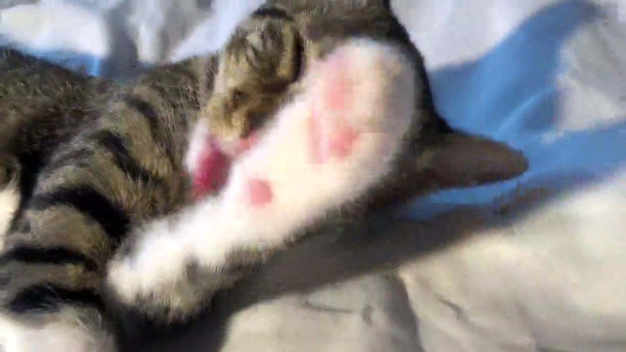 A Little Bath Will Cool My Body