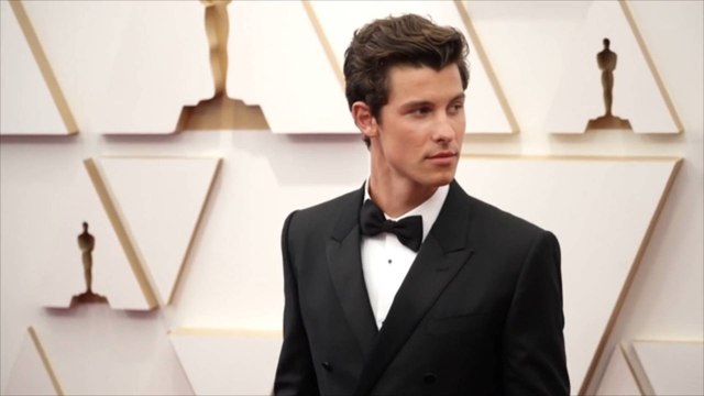 Shawn Mendes Cancels Remainder of Tour for Mental Health Reasons
