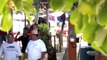 Cerca de 100 turistas nacionales y extranjeros son encuestados | CPS Noticias Puerto Vallarta