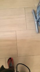 Coming Home to Find Puppy Caused Pandemonium