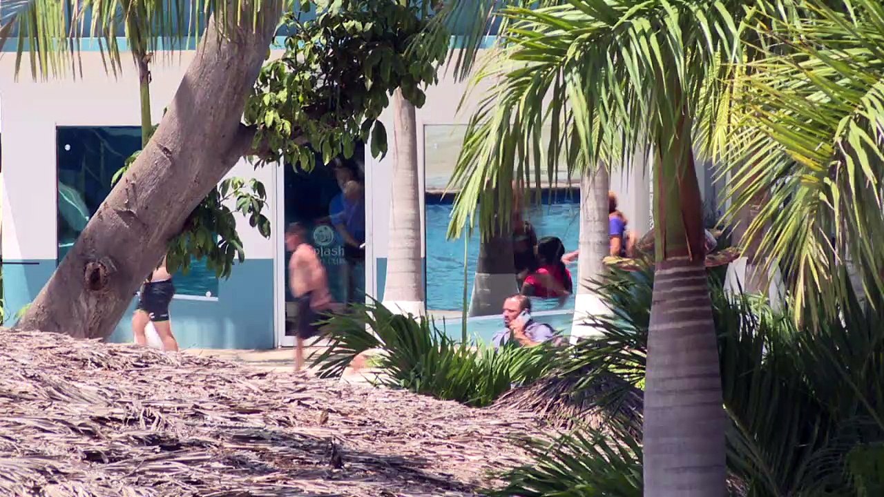 Fallece menor que apareció flotando en alberca de Splash | CPS Noticias Puerto Vallarta