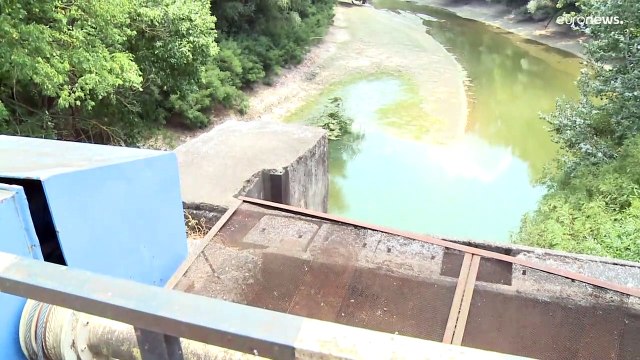 Romania martoriata dalla siccità. Danubio ai minimi storici, agricoltura in crisi