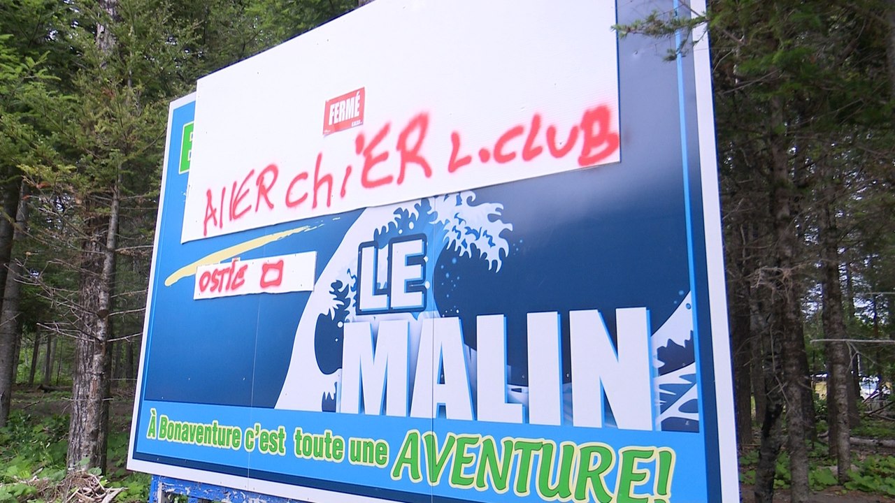 Site du Malin : Le chat est partie, les souris dansent