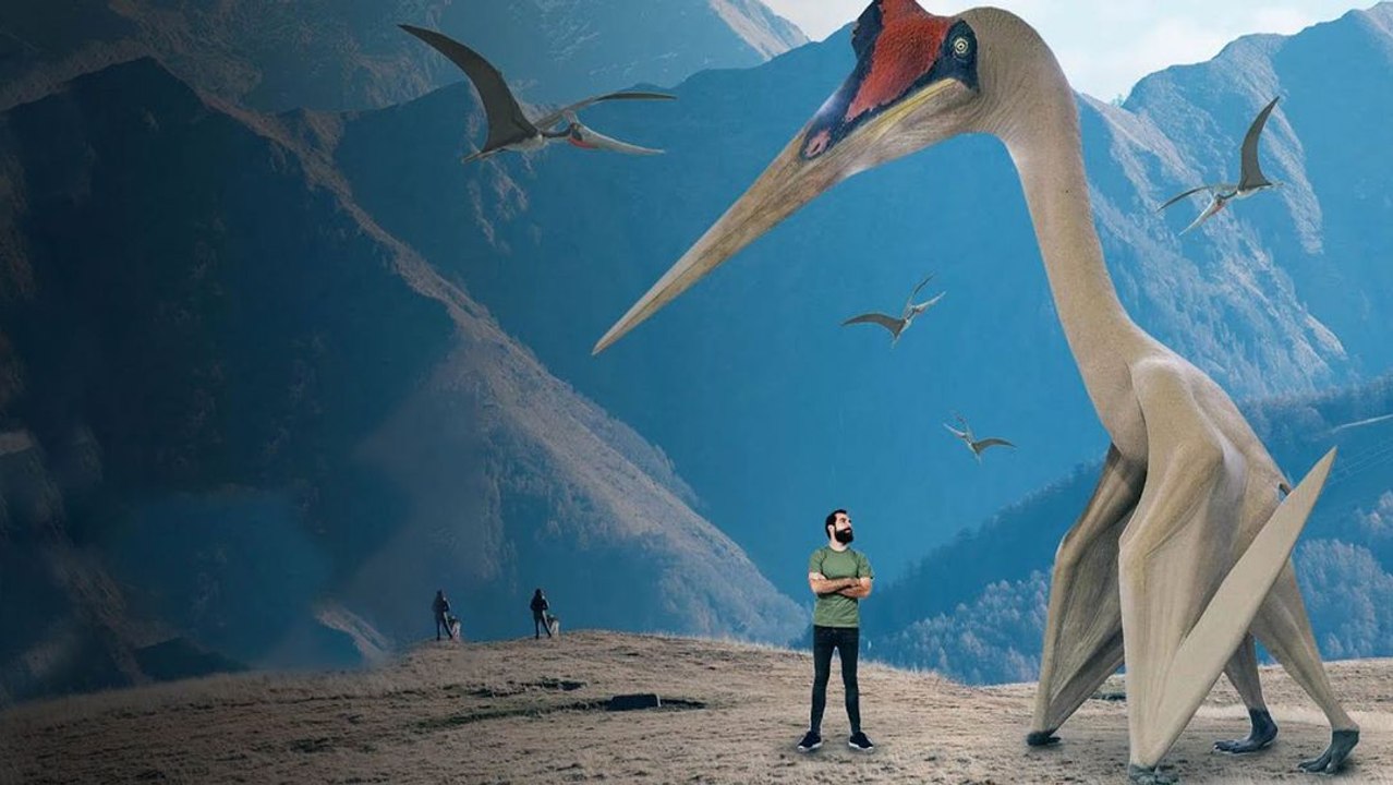What If the Pterodactyl Was Still Alive?