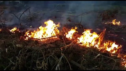 Tải video: Corpo de Bombeiros é acionado para apagar incêndio em Cascavel