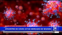 Covid-19: Estudios confirman que la pandemia se inició en mercado de Wuhan
