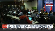 중국, '사드 3불' 유지 요구…