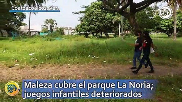 Maleza cubre el parque La Noria; juegos infantiles deteriorados