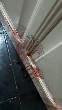 Paraná: Vídeo de casa que supostamente jorra sangue pelas paredes e chão assusta e viraliza