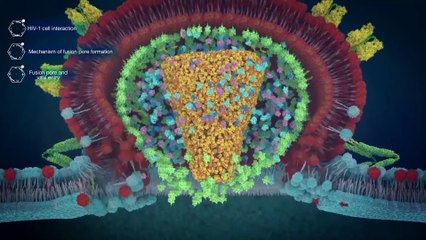 HIV: médicos anunciam 4° caso de cura no mundo