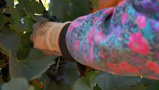 After a turbulent few years Australian exporters are closely watching the federal government's moves to reset its relationship with China