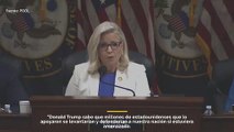 El representante Cheney dice que Trump se aprovechó de los estadounidenses que se dedican a él y al país.