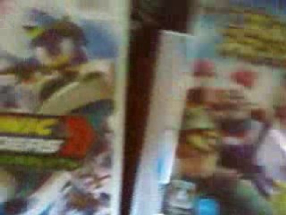 le freeloader wii ne fonctionne pas