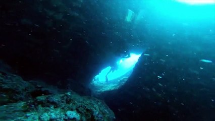 스쿠버다이빙 - 3of4