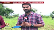 Ground Report : IIT Students Quits Job and Start Country Chicken Farming | Hyderabad | V6 News