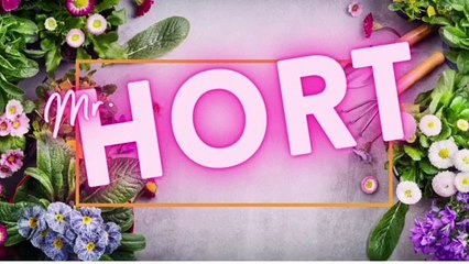 Bunga tanaman yang wangi di tanam?