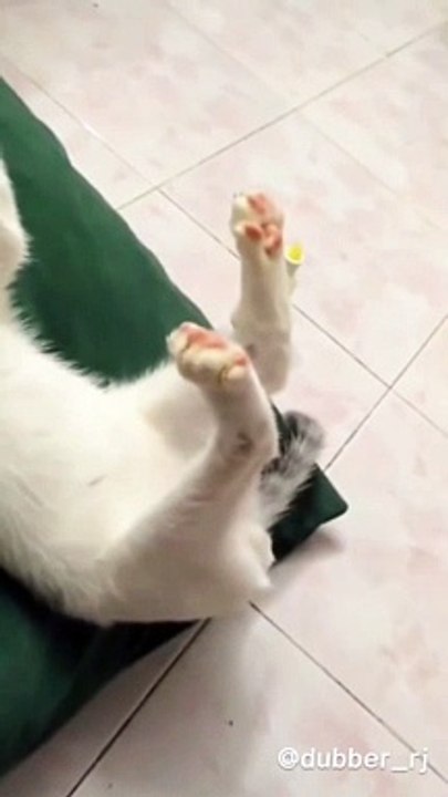 Snapinsta_290707737_727275248502331_7130554316957607219_n