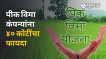 Crop Insurance Scheme मुळे कंपन्यांचचं  चांगभलं! | Sakal Media