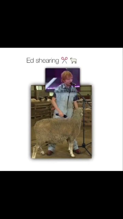 Ed shareen - hats off to the creativity