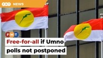 Open season in Umno if party polls not delayed, says senior leader