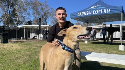 GAPNSW Richmond Adoption Centre opening, Londonderry, NSW - July 28, 2022 - Hawkesbury Gazette