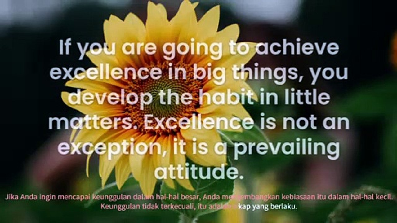 dream in quotes