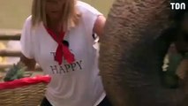 La meilleure amie de Valérie Trierweiler fait une chute à cause d'un éléphant !