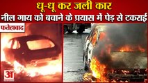 Car Burnt Down Near Badopal In Fatehabad|गाय को बचाने के प्रयास में पेड़ से टकराई कार,धू-धू कर जली