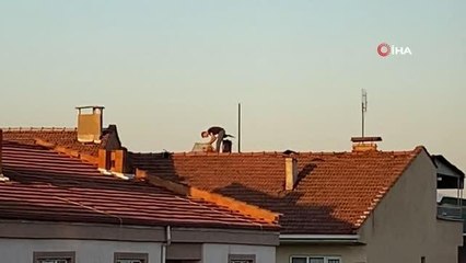 Ölümüne eğlence... 5 katlı apartmanın çatısında uçurtma havalandırdı