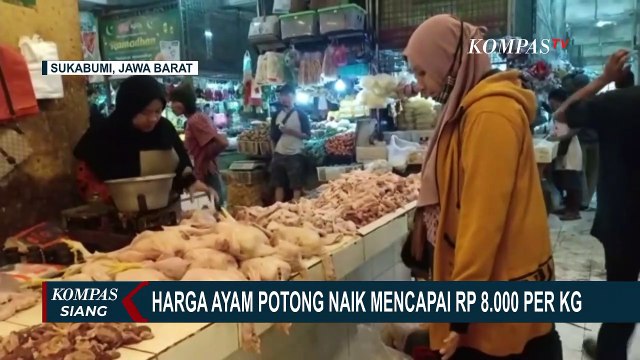 Tak Kunjung Stabil, Pedagang Maupun Pembeli Keluhkan Harga Telur dan Ayam Potong yang Naik!