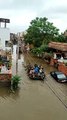 राजस्थान में इतनी बारिश कि लोगों को बचाने के लिए सेना उतरी, सड़कों पर बोट चल रही और घरों में फेसे लोगों को कर रही रेस्क्यू