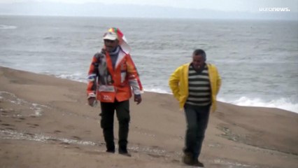 Decenas de pingüinos muertos aparecen en las costas de Uruguay