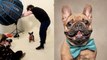 Cette photographe immortalise la joie et les personnalités de ces chiens et c'est très drôle
