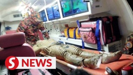 Two children die in Sabah landslip, two adults escape with injuries