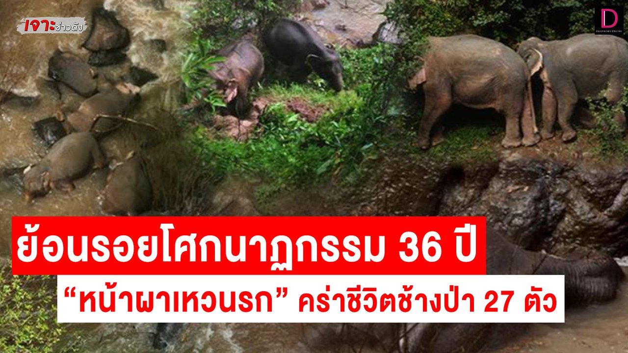 ย้อนรอยโศกนาฏกรรมประวัติศาสตร์! 36 ปี "หน้าผาเห...