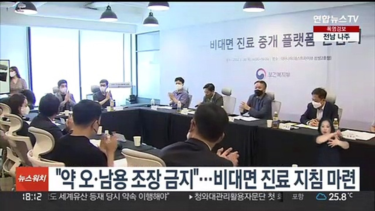 "약 오ㆍ남용 조장 금지"…비대면 진료 지침 마련