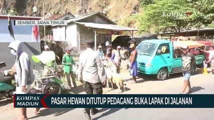 Pasar Hewan Ditutup Pedagang Buka Lapak Di Jalanan