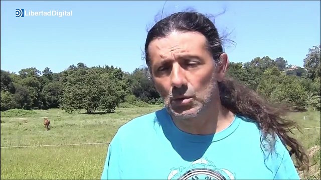 Varias orcas atacan un velero español en Corrubedo, Galicia